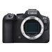 Canon EOS R6 Mark II Body + EF - RF Adapter