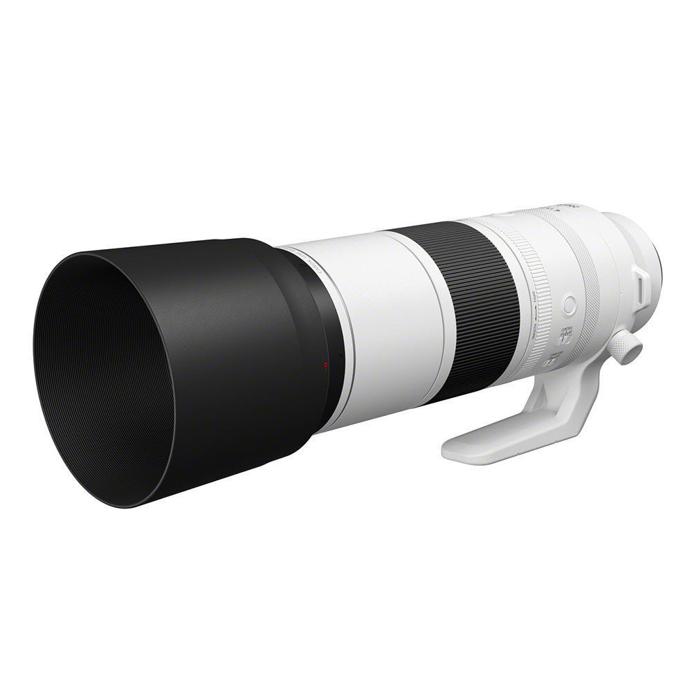 Canon RF 200-800MM f/6.3-9 IS USM - Ringfoto Meppel