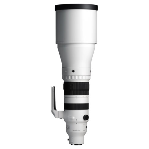 Sigma 300-600mm f/4 DG OS Sports voor Leica L