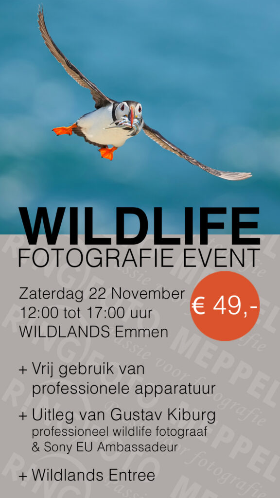 promotie afbeelding