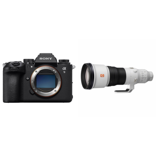 Sony A9 III Body + FE 600mm f/4.0 GM OSS G-Master