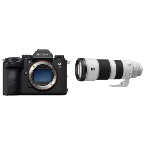 Sony A9 III Body + FE 200-600mm f/5.6-6.3 G OSS