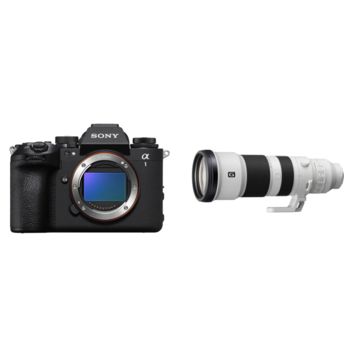 Sony A1 II Body + FE 400-800mm f/6.3-8.0 G OSS