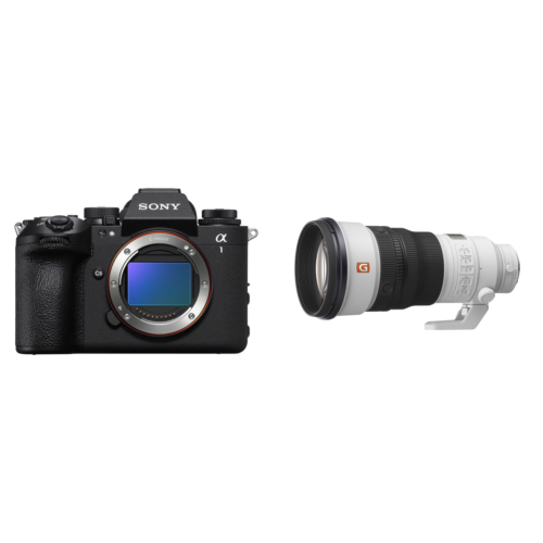 Sony A1 II Body + FE 300mm f/2.8 GM OSS G-Master