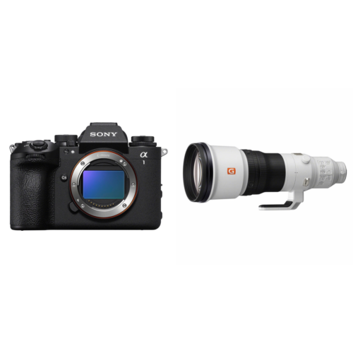 Sony A1 II Body + FE 600mm f/4.0 GM OSS G-Master