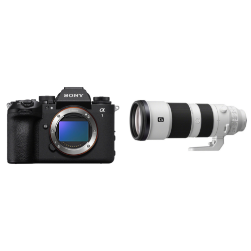 Sony A1 II Body + FE 200-600mm f/5.6-6.3 G OSS