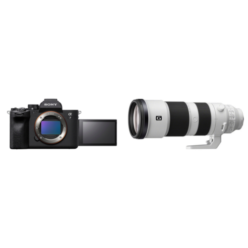 Sony a7 IV Body + FE 200-600mm f/5.6-6.3 G OSS