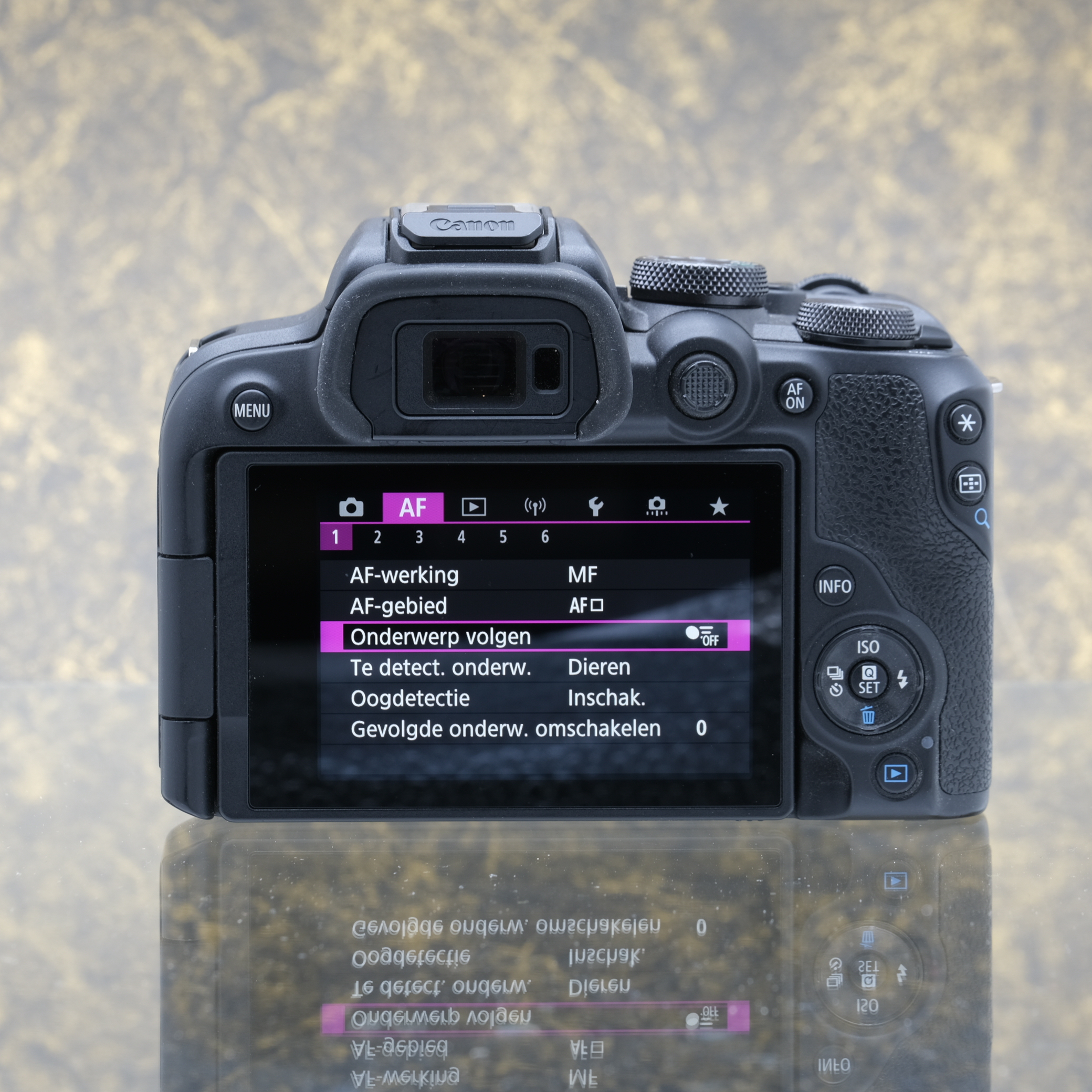 Canon EOS R10 Body - Tweedehands