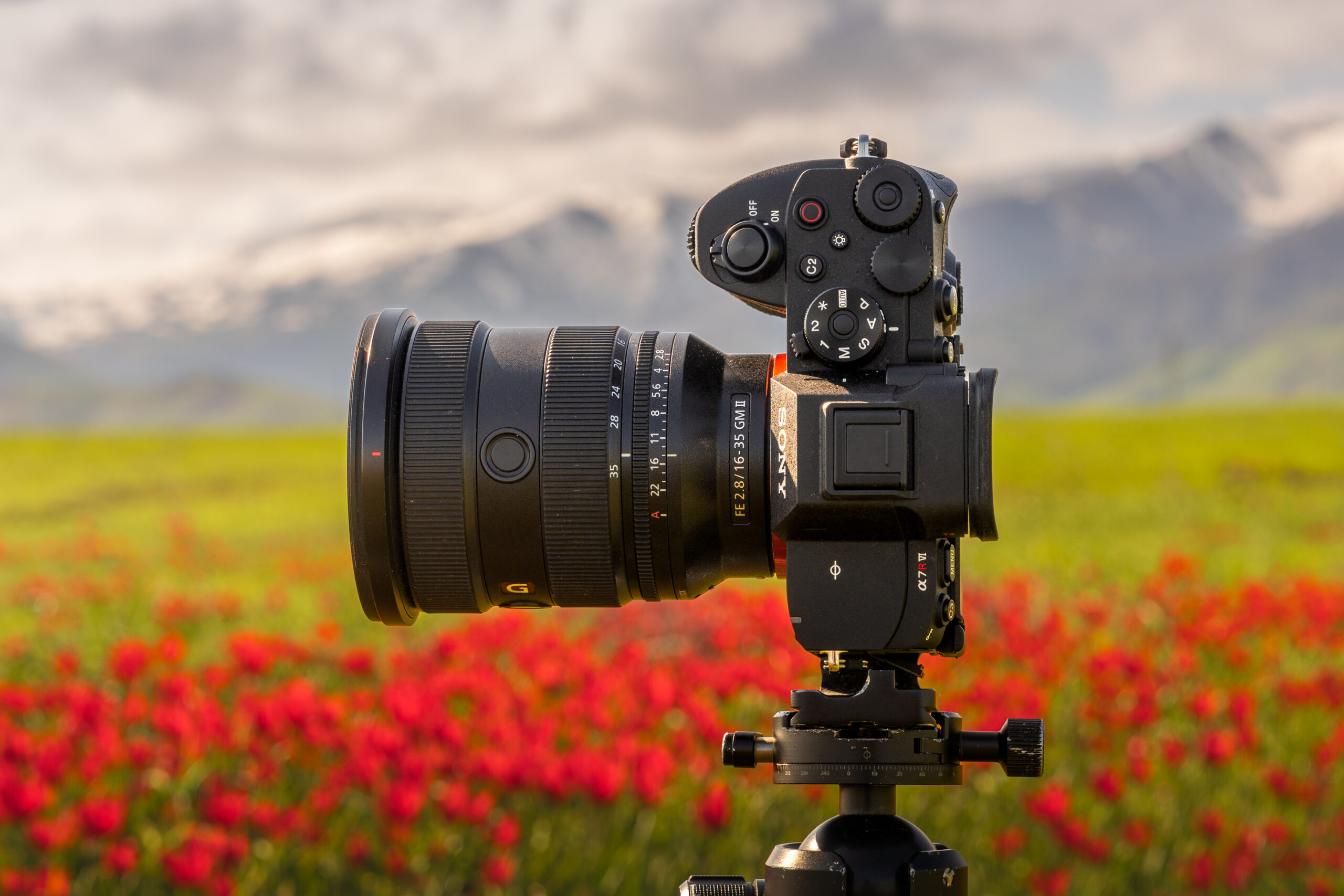 Sony A7R VI Body