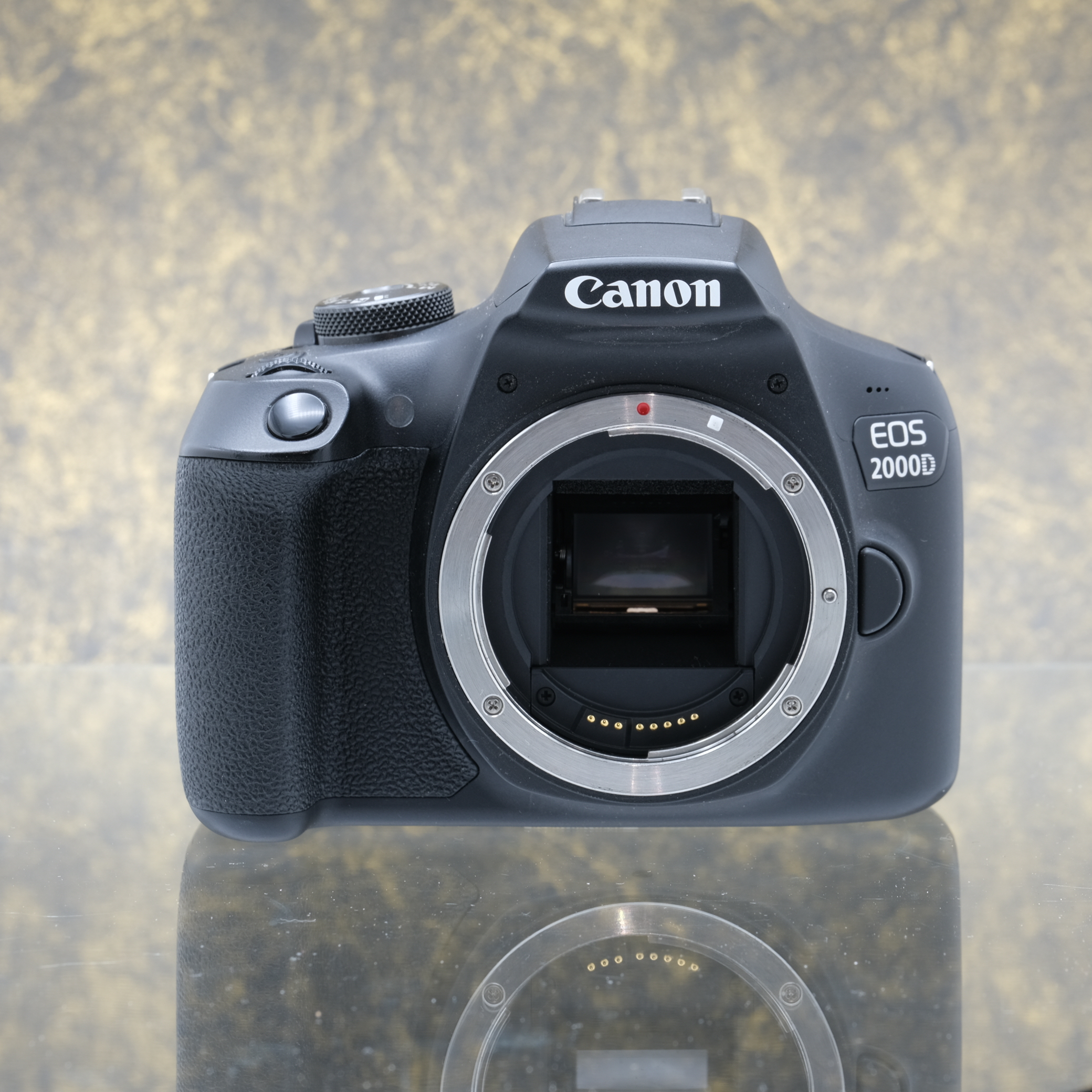 Canon EOS 2000D Body - Tweedehands