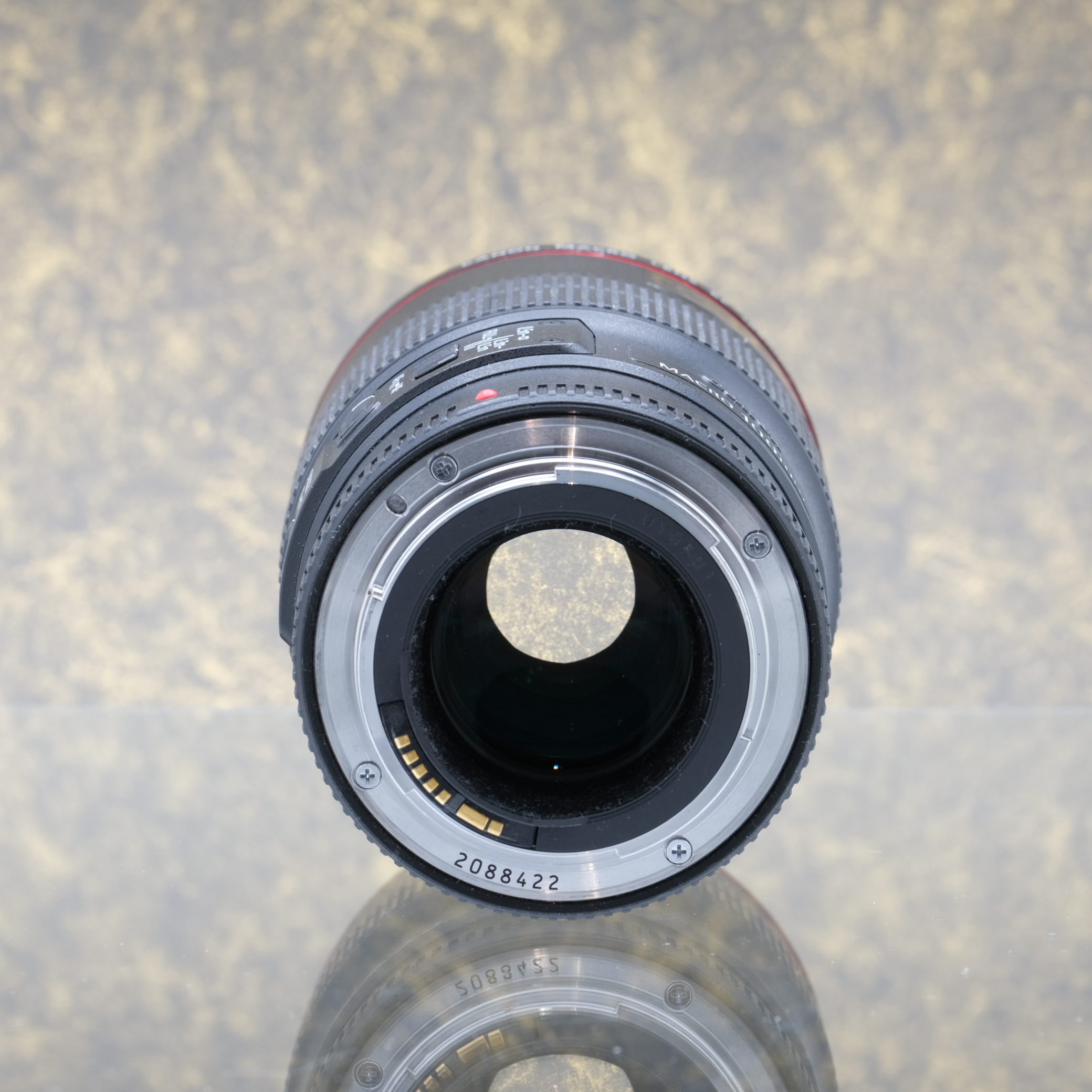 Canon EF 100mm f/2.8L Macro IS USM - Tweedehands