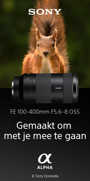 promotie afbeelding